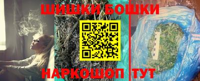 СК Лесосибирск