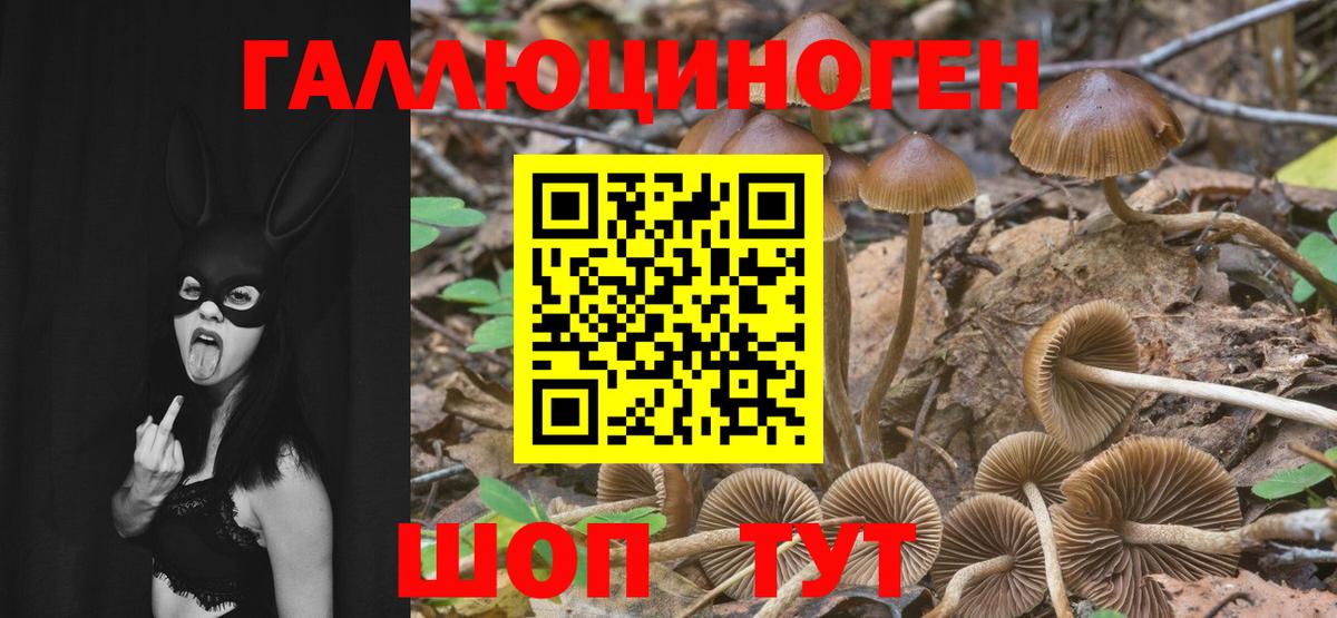 Губкинский  Псилоцибиновые грибы ЛСД  Вход с VPN 